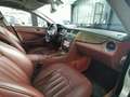 Mercedes-Benz CLS 350 CLS V6 Grand edition TETTO-NAVI-AUTO DA COLLEZIONE Argent - thumbnail 7