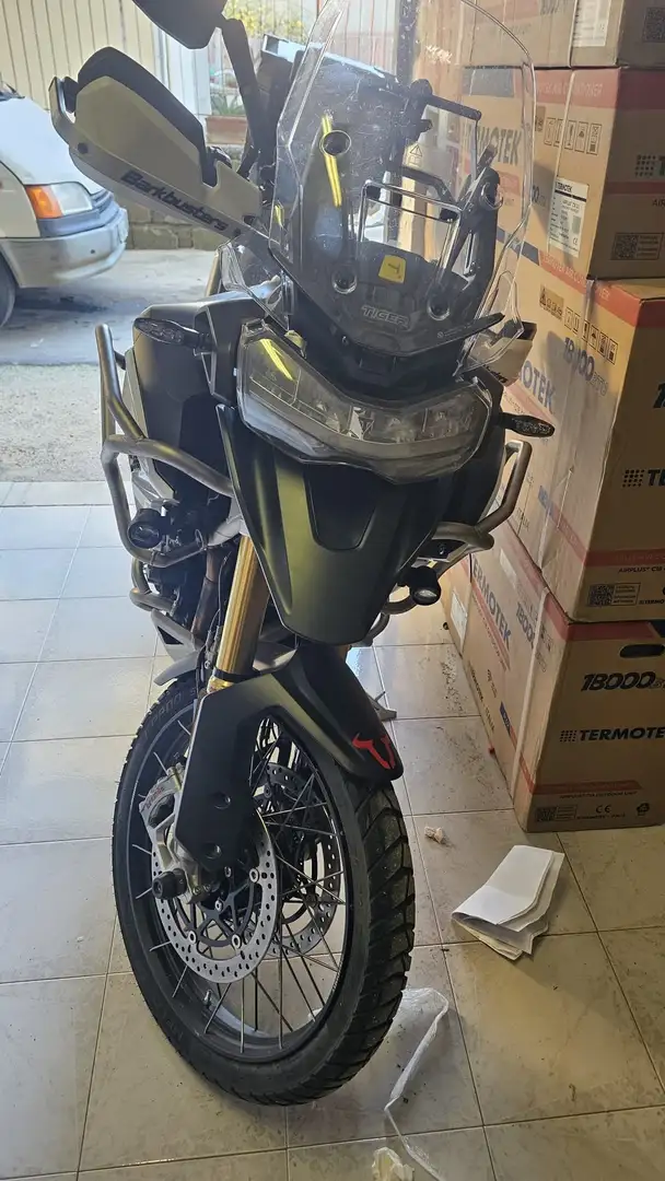Triumph Tiger 1200 Rally pro Verde - 1