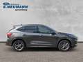 Ford Kuga Plug-In Hybrid ST-Line X*AHK*GJ-REIFEN*LED* - thumbnail 1