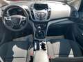 Ford C-Max 1 Hand Zahnriemen neu Klimaautomatik Rot - thumbnail 10