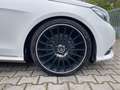 Mercedes-Benz E 250 CDI T 4Matic Avantgarde*StHz*LED* Biały - thumbnail 29