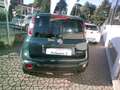 Fiat Panda Panda III 2021 Cross 1.0 firefly hybrid Cross s Grün - thumbnail 4
