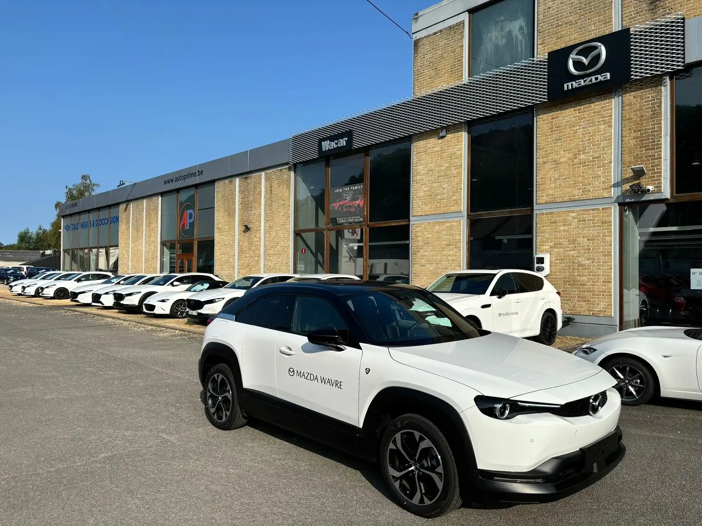 Mazda MX-30 R-EV Makoto Urban+Premium Pack+Toit noir *GARANTIE Weiß - 1
