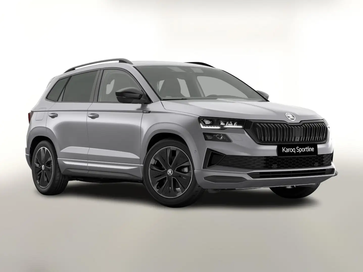 Skoda Karoq Sportline DSG 4x4 Sportl AHK Matrix Nav 360° Ca... Silber - 1