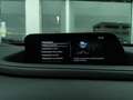 Mazda CX-30 2.0L e-Skyactiv-G MHEV Executive auto Camera DAB Argento - thumbnail 31