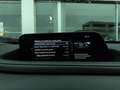 Mazda CX-30 2.0L e-Skyactiv-G MHEV Executive auto Camera DAB Argento - thumbnail 35