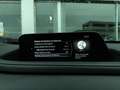 Mazda CX-30 2.0L e-Skyactiv-G MHEV Executive auto Camera DAB Argento - thumbnail 36