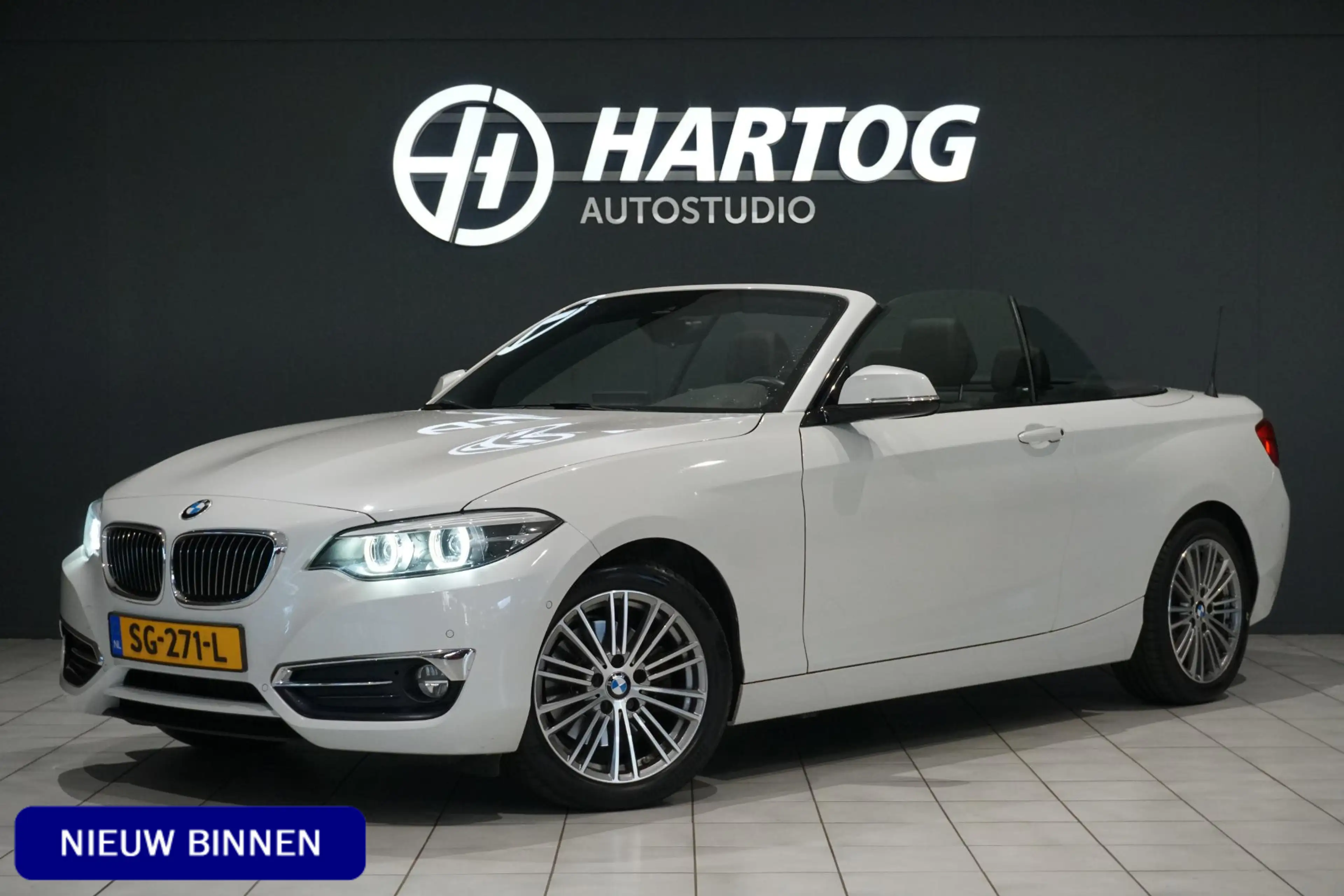 BMW 220 2-serie Cabrio 220i High Executive + CAMERA / LEDE