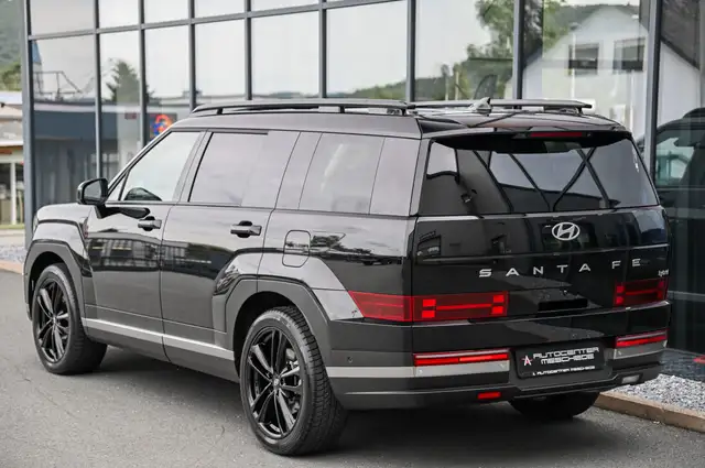 Hyundai Santa Fe view 5