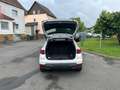 SEAT Arona 1.0 TSI Style Edition DSG, AHK, RFK Weiß - thumbnail 15