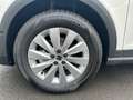 SEAT Arona 1.0 TSI Style Edition DSG, AHK, RFK Weiß - thumbnail 9