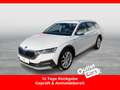 Skoda Octavia Combi 2.0 TDI Scout LED+LEDER+RADAR+VirC Weiß - thumbnail 1