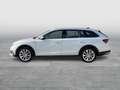 Skoda Octavia Combi 2.0 TDI Scout LED+LEDER+RADAR+VirC Weiß - thumbnail 3