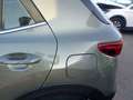 Kia Stonic 1.0 T-GDi MHEV iMT Drive Plus 120 Verde - thumbnail 14