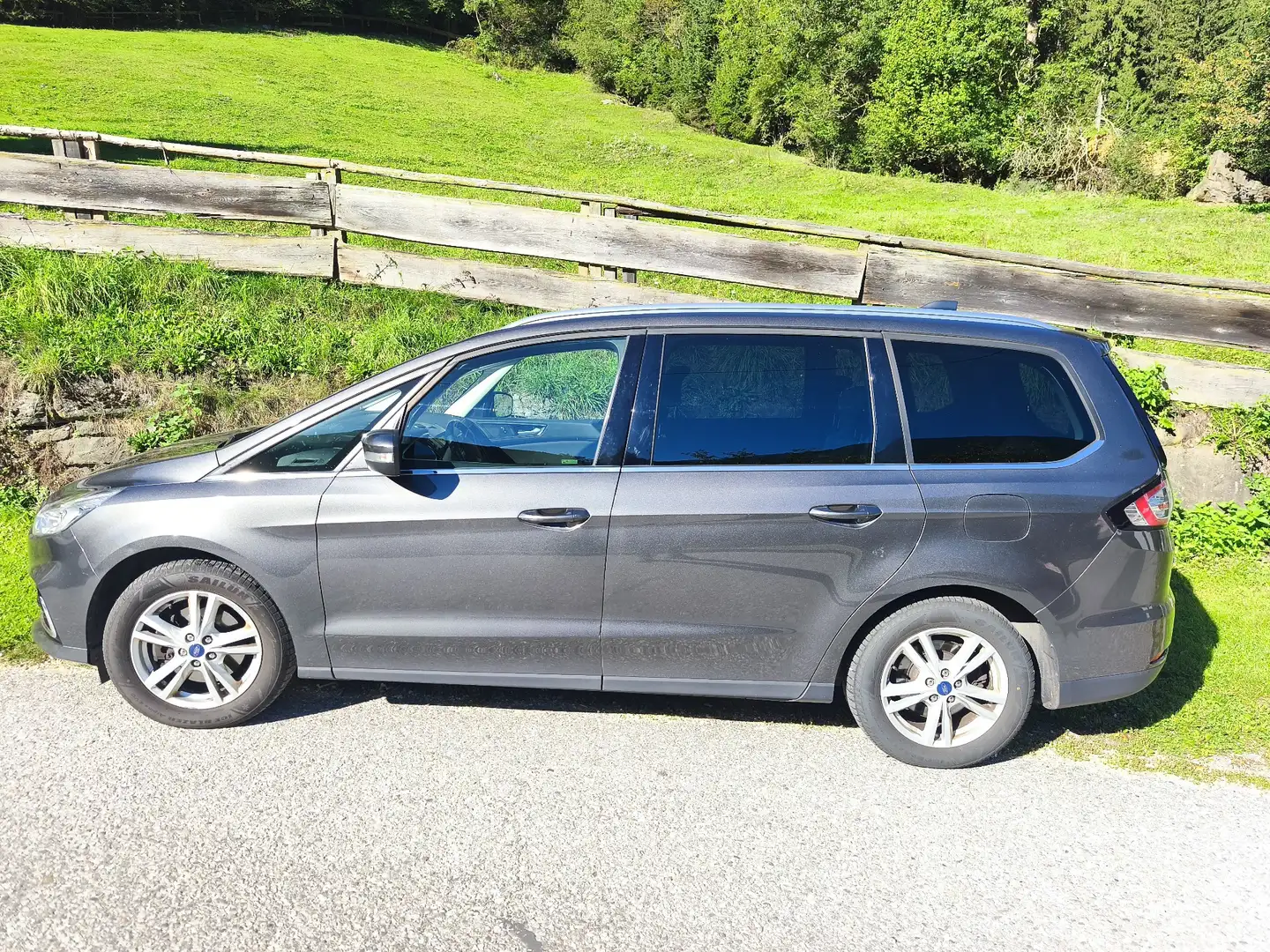 Ford Galaxy Titanium Grau - 1