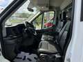Ford Transit Pritsche 2,0 L5H1 350 Trend KLIMA/LEDER/TEMPOMAT Weiß - thumbnail 3