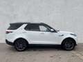 Land Rover Discovery 3.0 SD6 HSE LUXURY 7-Sitzer HUD Luftfederung AD Ni Bianco - thumbnail 6