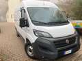 Fiat Ducato L2H2 Bianco - thumbnail 2