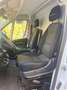 Fiat Ducato L2H2 Bianco - thumbnail 8