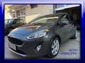 Ford Fiesta VAN 1.0 Ecoboost hybrid 125CV Trend IVA ESPOSTA Grigio - thumbnail 1