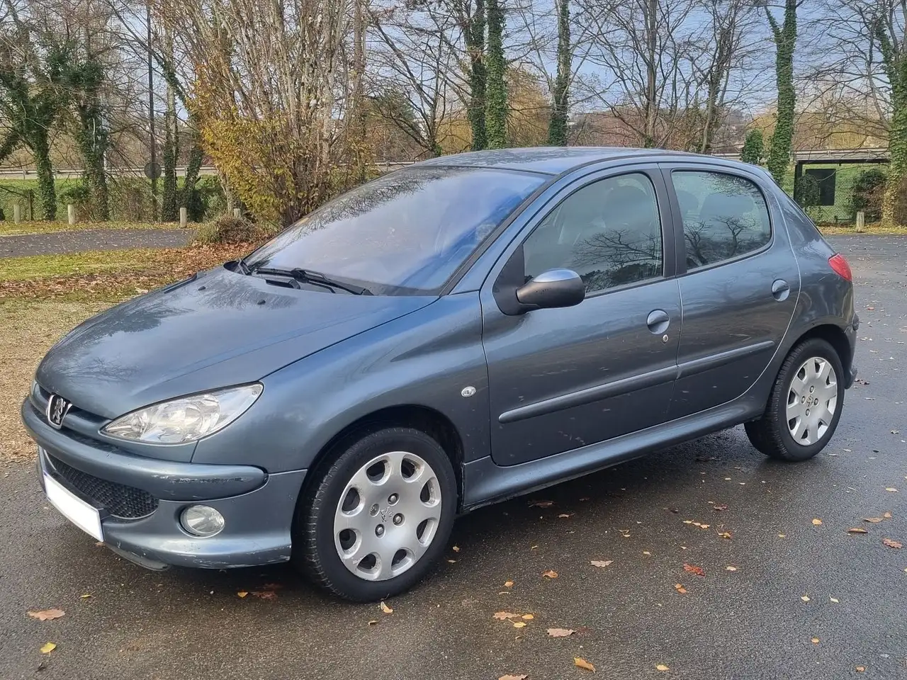 Peugeot 206 1.6 HDI 110 TRENDY 5P