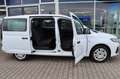 Ford Grand Tourneo Connect 5-Sitze Klima 4,99% FIN* Weiß - thumbnail 8