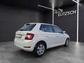 Skoda Fabia 1.0 Active Cool-Plus Klima DAB PDC SH Weiß - thumbnail 5