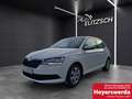 Skoda Fabia 1.0 Active Cool-Plus Klima DAB PDC SH Weiß - thumbnail 1