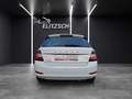 Skoda Fabia 1.0 Active Cool-Plus Klima DAB PDC SH Weiß - thumbnail 4