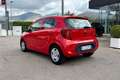 Kia Picanto 1.0 12V 5 porte Urban Rosso - thumbnail 5