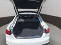 Audi A5 Sportback S-Line 40TDI S-Tr. S-Line Interieur Weiß - thumbnail 20