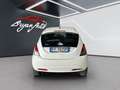 Lancia Ypsilon 1.2 Gold 69cv(NEOPATENTATI) Bianco - thumbnail 4