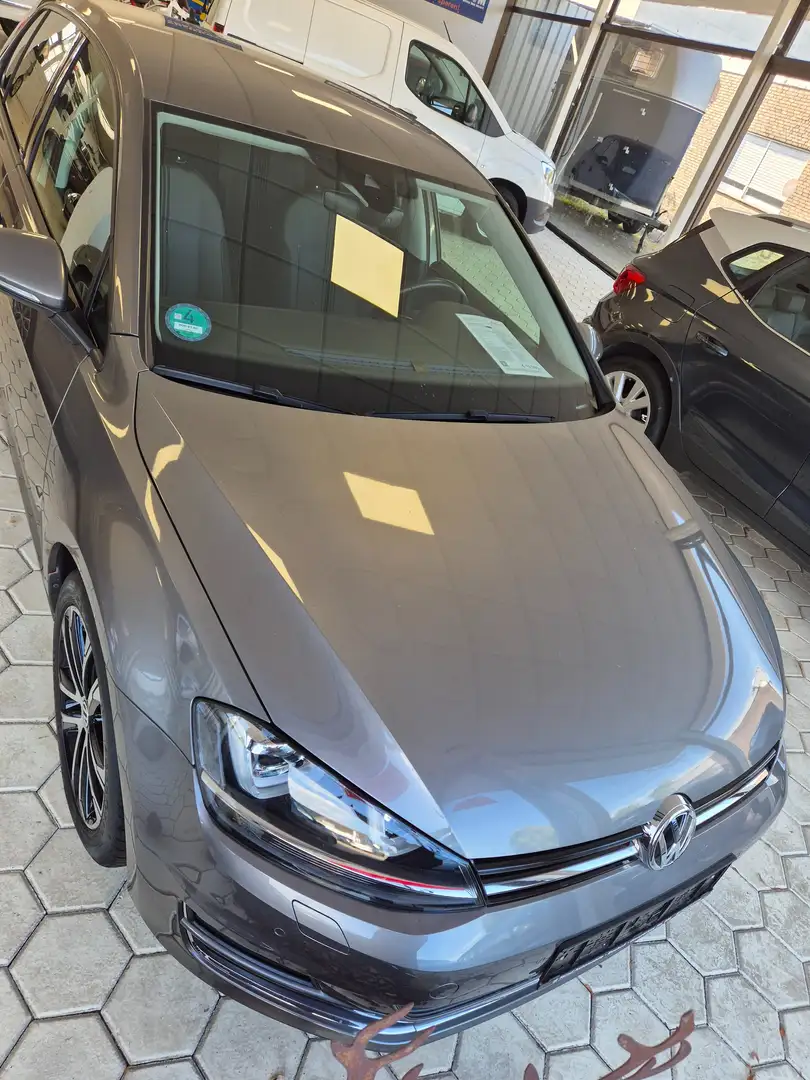 Volkswagen Golf Allstar DSG BMT im KD-Auftrag,8-fach ber., Xenon Grau - 2