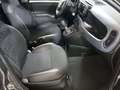 Fiat Panda Red 1.0 Gse 51kw (70CV) Gris - thumbnail 10