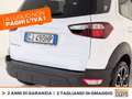 Ford EcoSport 1.0 ecoboost active s&s 125cv Bianco - thumbnail 17