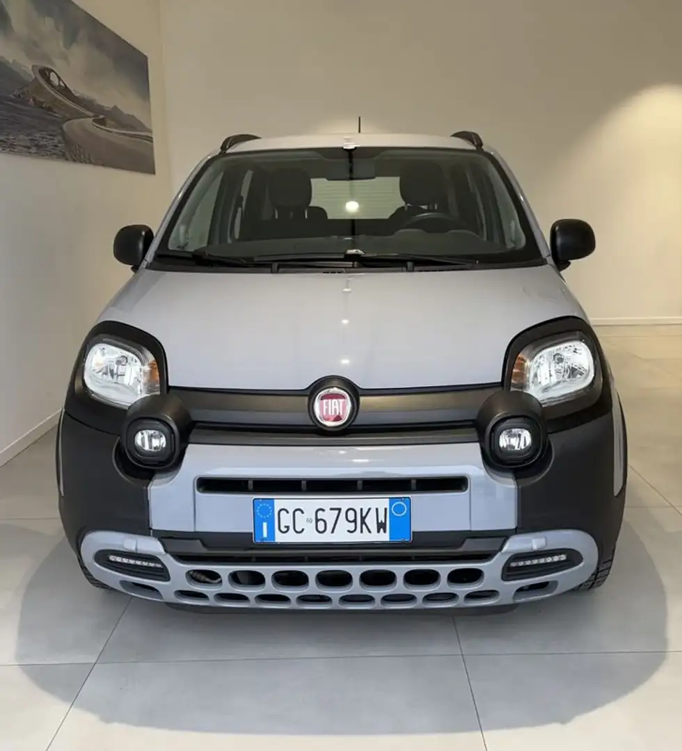 Fiat Panda 1.0 FireFly S&S Hybrid City Cross - 2