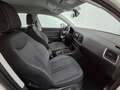 SEAT Ateca 2.0 TDI Style Weiß - thumbnail 10