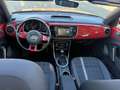 Volkswagen Beetle The Beetle Cabriolet The Cabriolet 1.4 TSI (BlueMo Rot - thumbnail 6