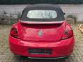 Volkswagen Beetle The Beetle Cabriolet The Cabriolet 1.4 TSI (BlueMo Czerwony - thumbnail 5