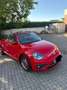 Volkswagen Beetle The Beetle Cabriolet The Cabriolet 1.4 TSI (BlueMo Rot - thumbnail 2