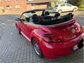 Volkswagen Beetle The Beetle Cabriolet The Cabriolet 1.4 TSI (BlueMo Rot - thumbnail 5