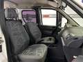 Ford Tourneo Connect Familiar Manual de 4 Puertas Blanco - thumbnail 10