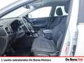 Kia Sportage 1.7 crdi cool s&s 2wd 141cv dct Bianco - thumbnail 7