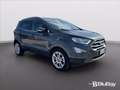 Ford EcoSport 1.0 EcoBoost 125 CV Start&Stop Titanium Grigio - thumbnail 3