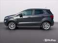 Ford EcoSport 1.0 EcoBoost 125 CV Start&Stop Titanium Grigio - thumbnail 11