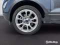 Ford EcoSport 1.0 EcoBoost 125 CV Start&Stop Titanium Grigio - thumbnail 15