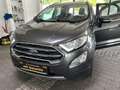 Ford EcoSport Titanium KAMERA NAVI SCHIEBED. AHK GAR. Gris - thumbnail 5