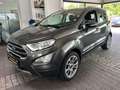 Ford EcoSport Titanium KAMERA NAVI SCHIEBED. AHK GAR. Gris - thumbnail 8