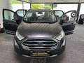 Ford EcoSport Titanium KAMERA NAVI SCHIEBED. AHK GAR. Gris - thumbnail 4