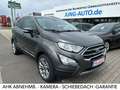 Ford EcoSport Titanium KAMERA NAVI SCHIEBED. AHK GAR. Gris - thumbnail 1